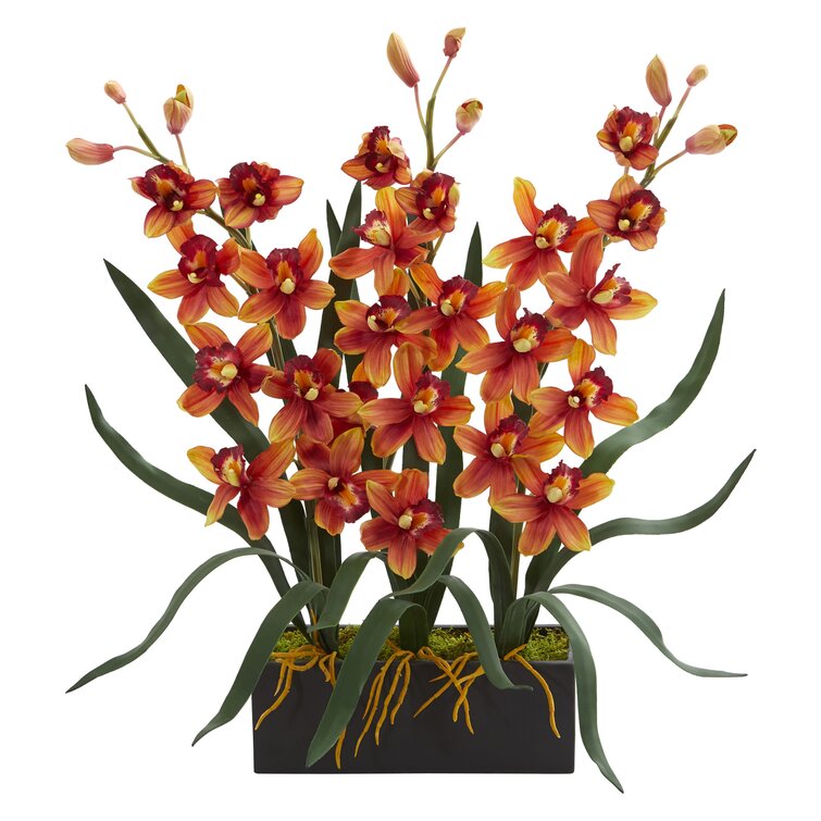 Mercer41 Artificial Cymbidium Orchids Floral Arrangement In Vase Wayfair